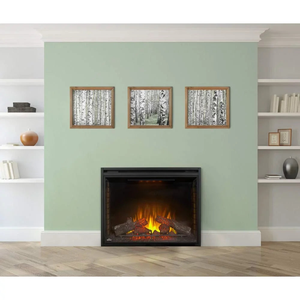 40 Built-in Napoleon Electric in. Firebox Insert