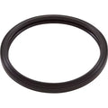 Silicone RGBW Gasket, Light, Zodiac, LED Pool Light
