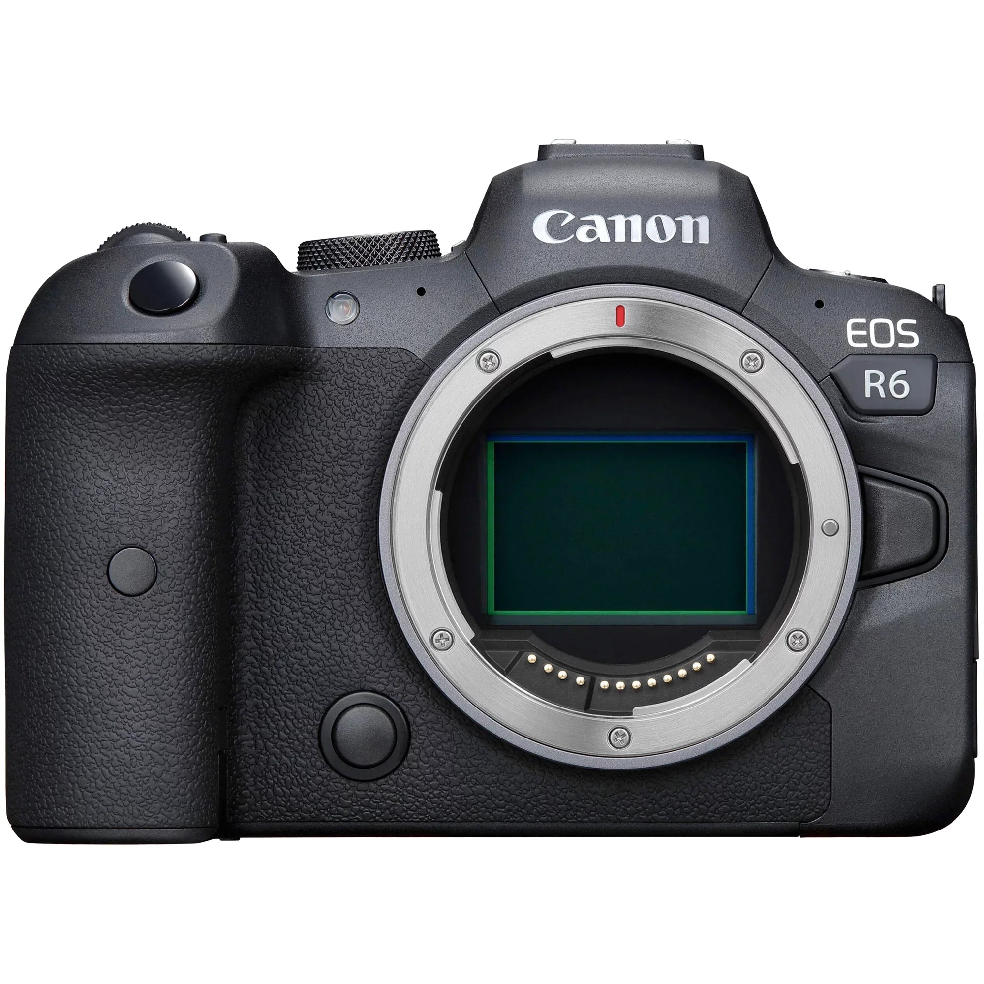 128GB SanDisk Lens Case Card with + EOS + ZeeTech Canon RF Digital Camera 75-300mm STM + Accessory Mirrorless + R6 24-105mm