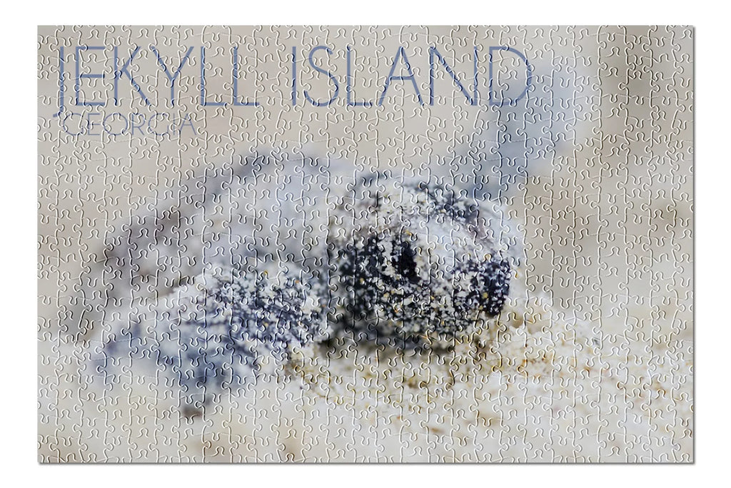 (19x27 in inches, Island, and Georgia, Made Family, Jekyll USA) Piece Hatching Turtle for Premium Adults 500 Jigsaw Puzzle Hawksbill