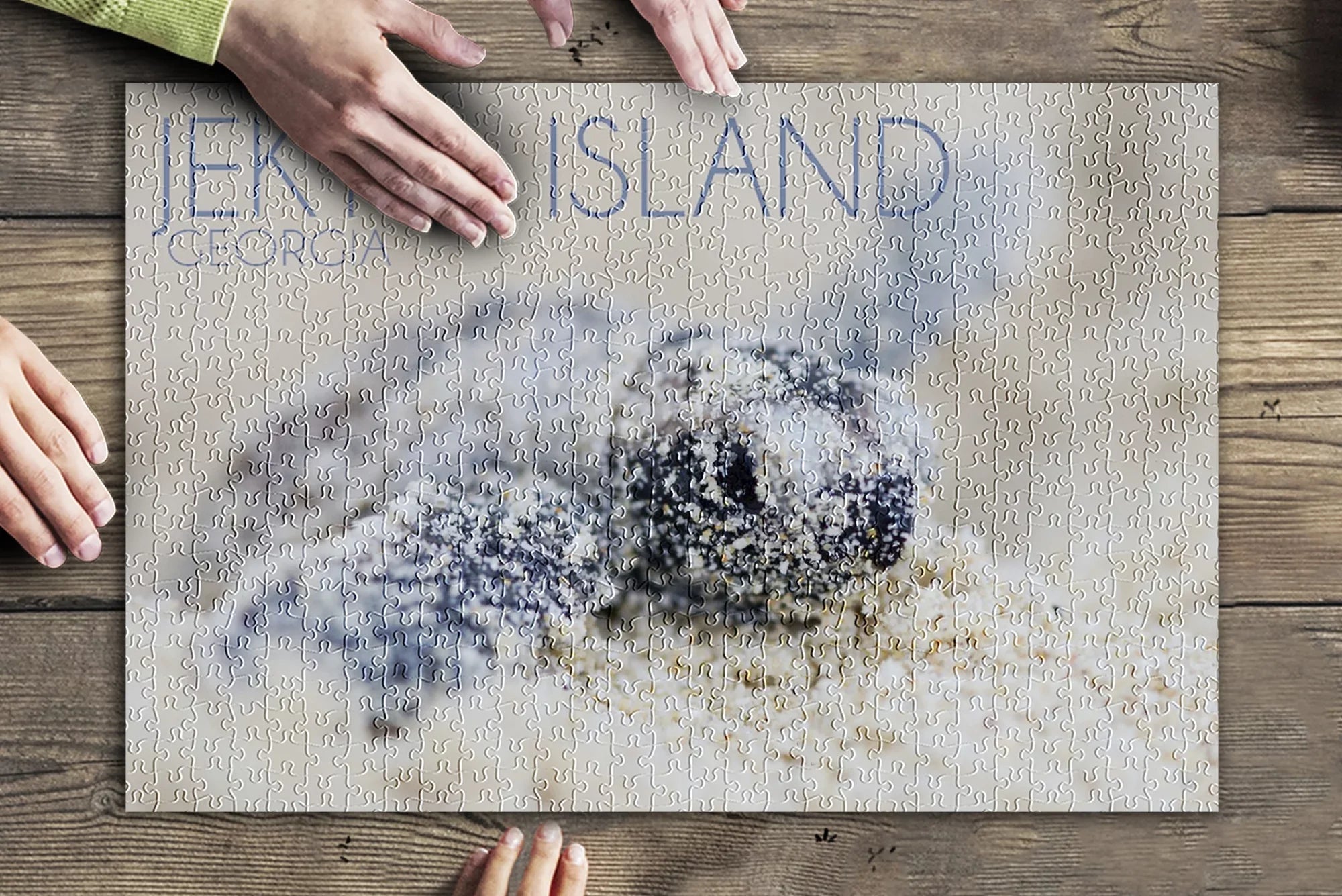 (19x27 in inches, Island, and Georgia, Made Family, Jekyll USA) Piece Hatching Turtle for Premium Adults 500 Jigsaw Puzzle Hawksbill