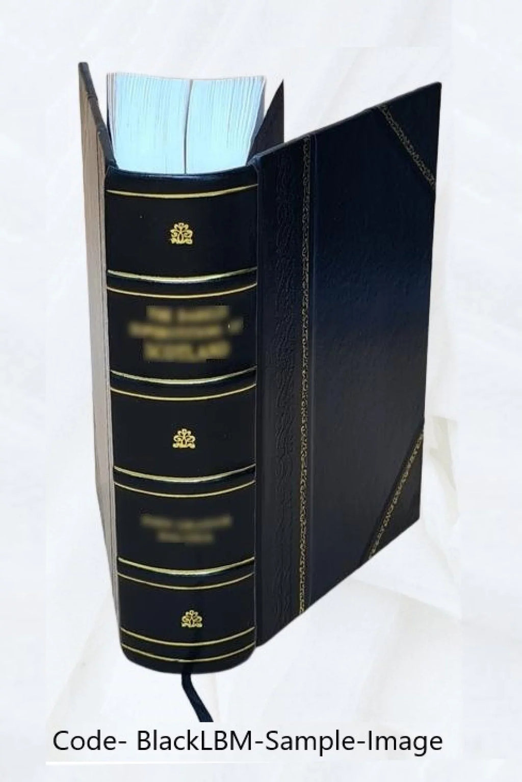 FSI Finnish Bound] Student Text Conversational [Leather