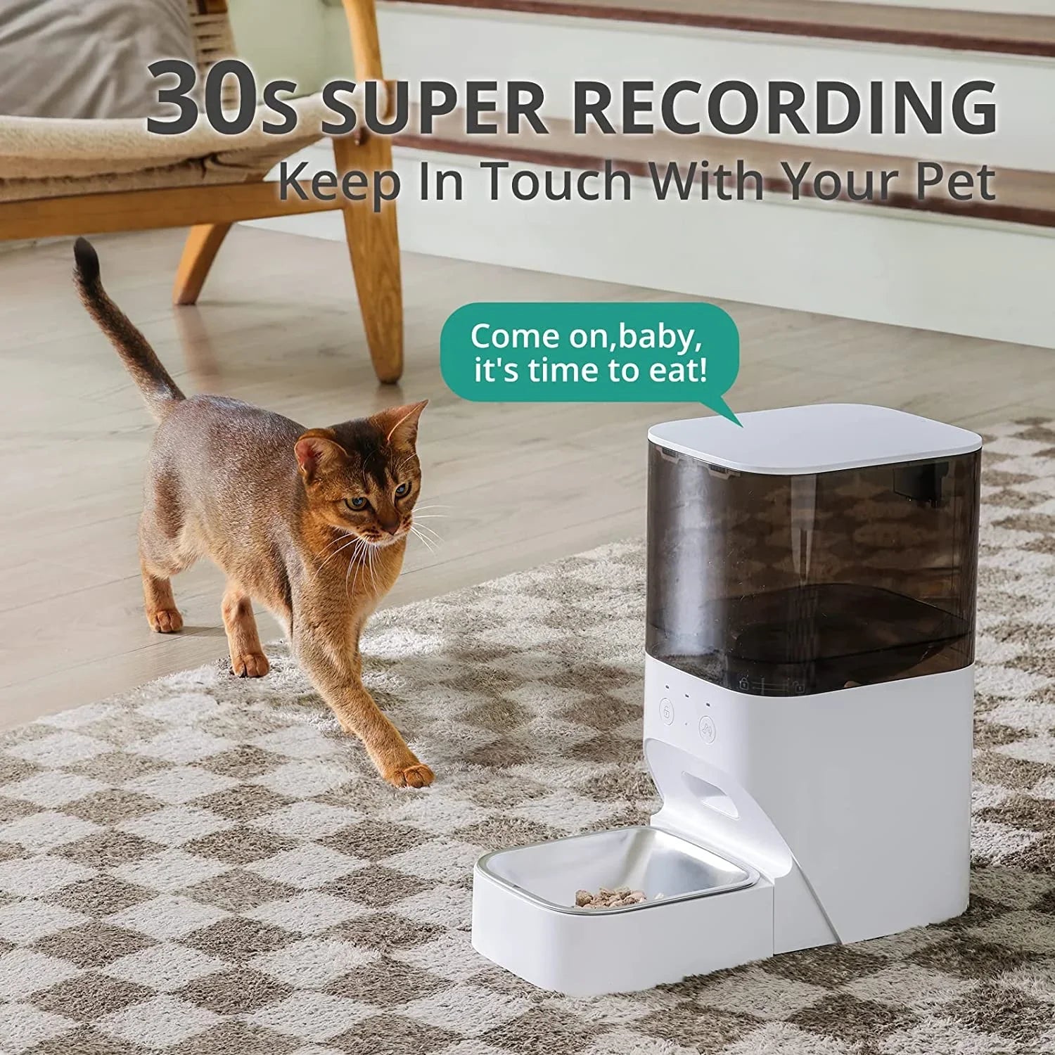 Dispenser Feeder, Steel Feeder Cat boqii Cat with Lock Lid, Automatic Dog & Food Voice 30S Timed Stainless Recorder APP with Control,