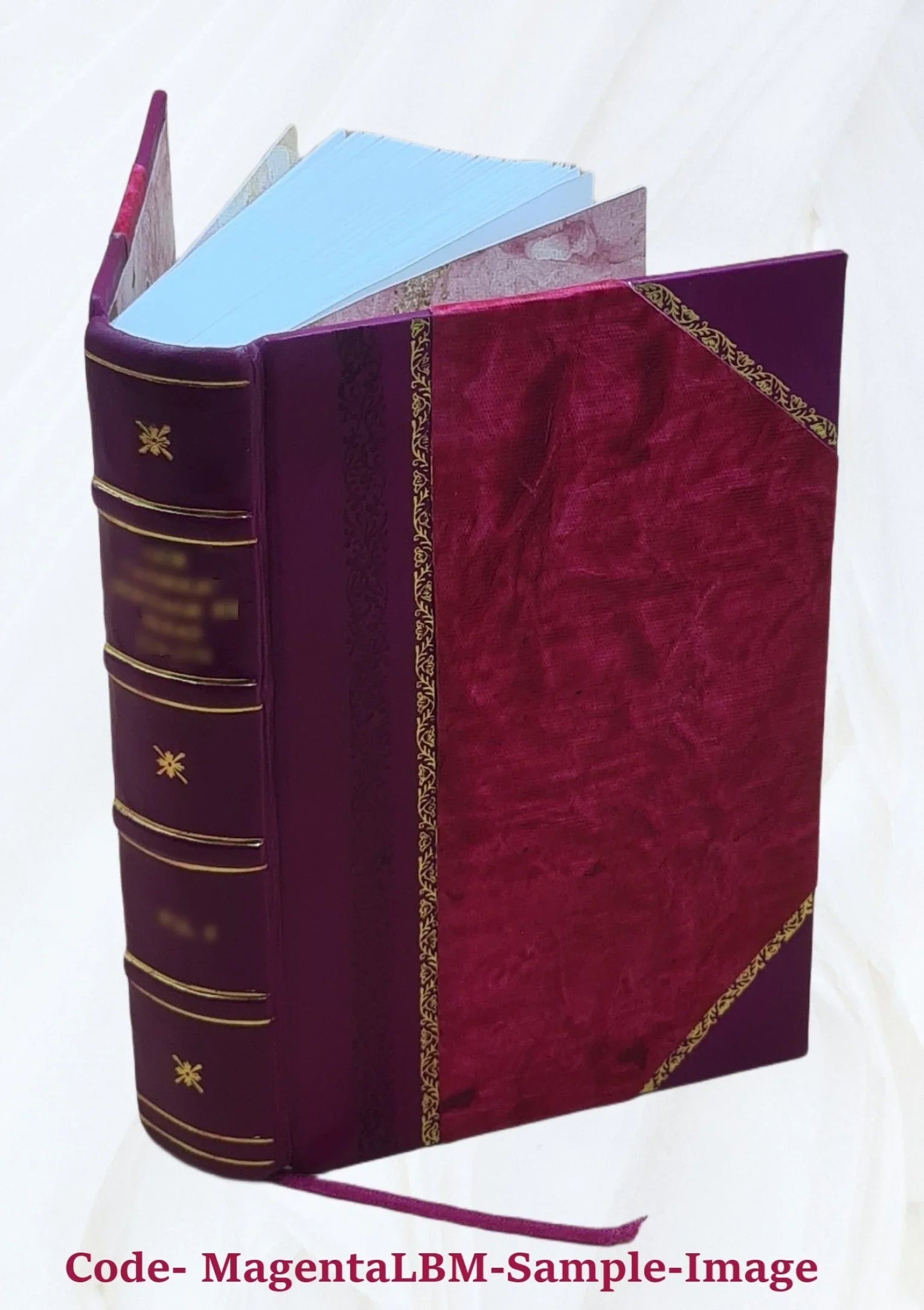 Volume 1891 Bound] Opera omnia [Leather 18