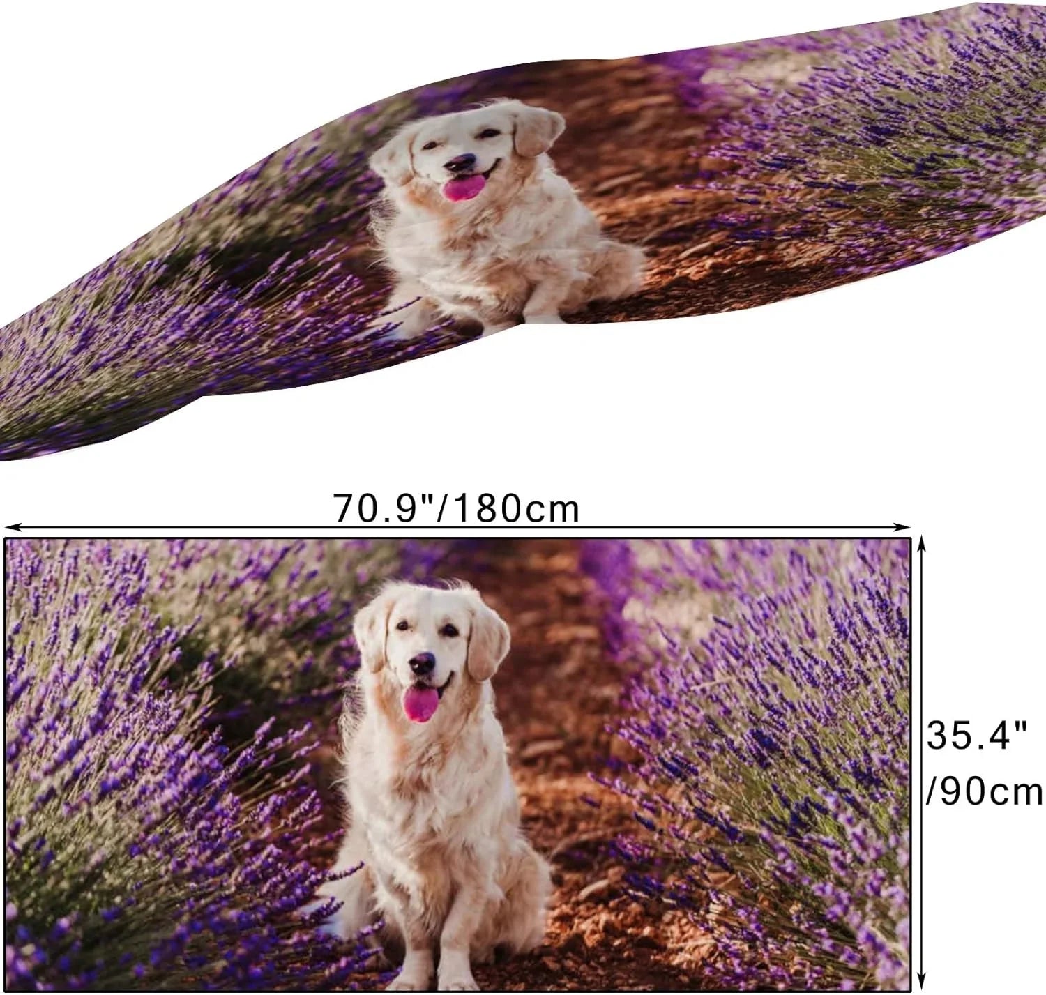 Dog Neck Wrap Women Scarf Golden Girls Lavender Adorable Retriever in Hyjoy Silk Field for Lightweight Long Scarves Shawl