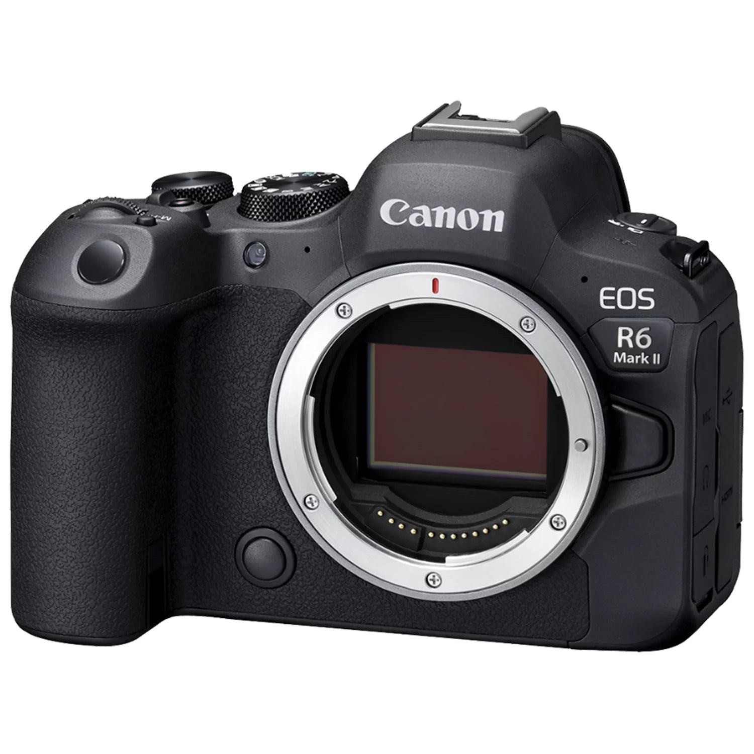 '+ Camera + Mount EF SanDisk 24-105mm + RF Pack Case + EOS Adapter 75-300mm Memory Flash + ZeeTech Mirrorless R6 LED + Lens II 2 Accessory with Mark Canon Card 32GB