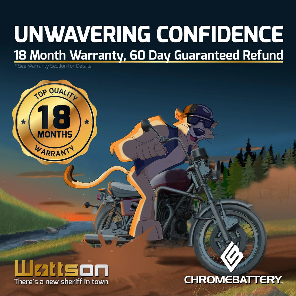 Ah, Yamaha CCA) Runner Wave 230 Chrome (16L-BS Jet Ski Battery 2005 Volt,14 for YTX16L-BS 12 Battery