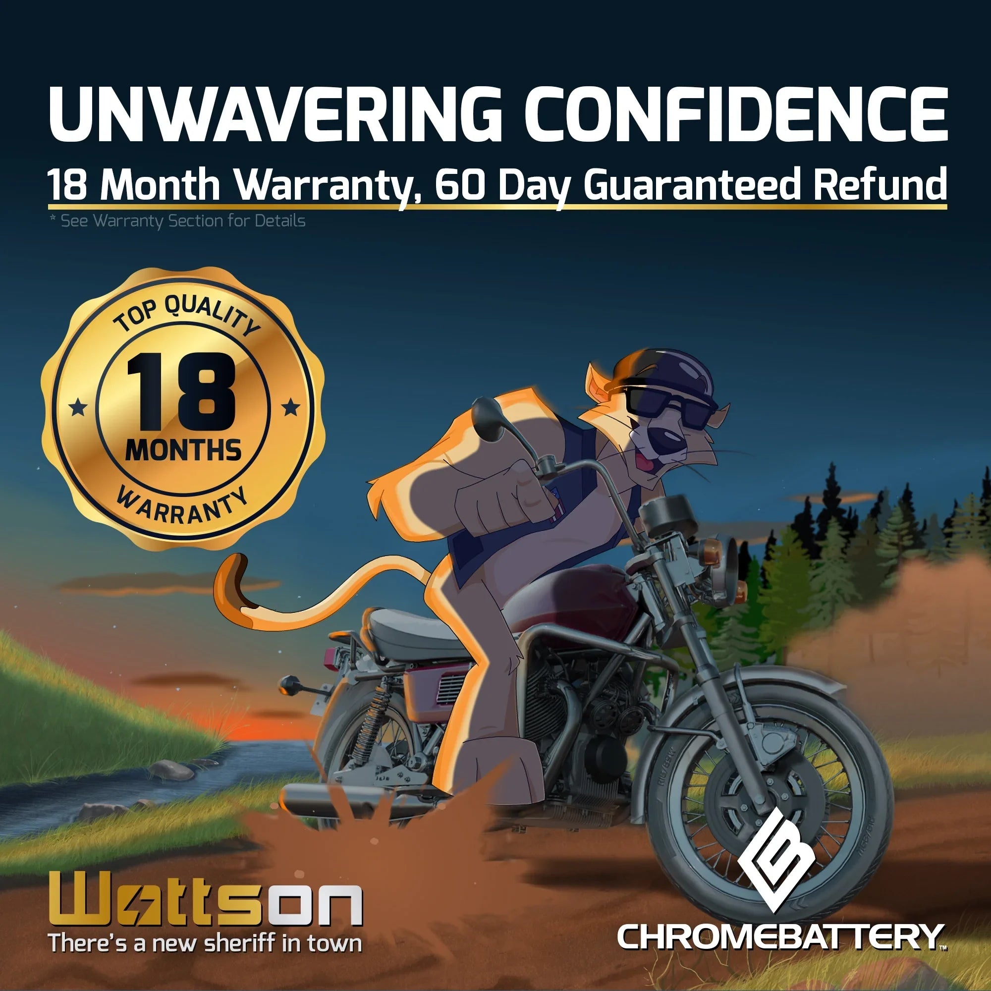 Ah, Yamaha CCA) Runner Wave 230 Chrome (16L-BS Jet Ski Battery 2005 Volt,14 for YTX16L-BS 12 Battery