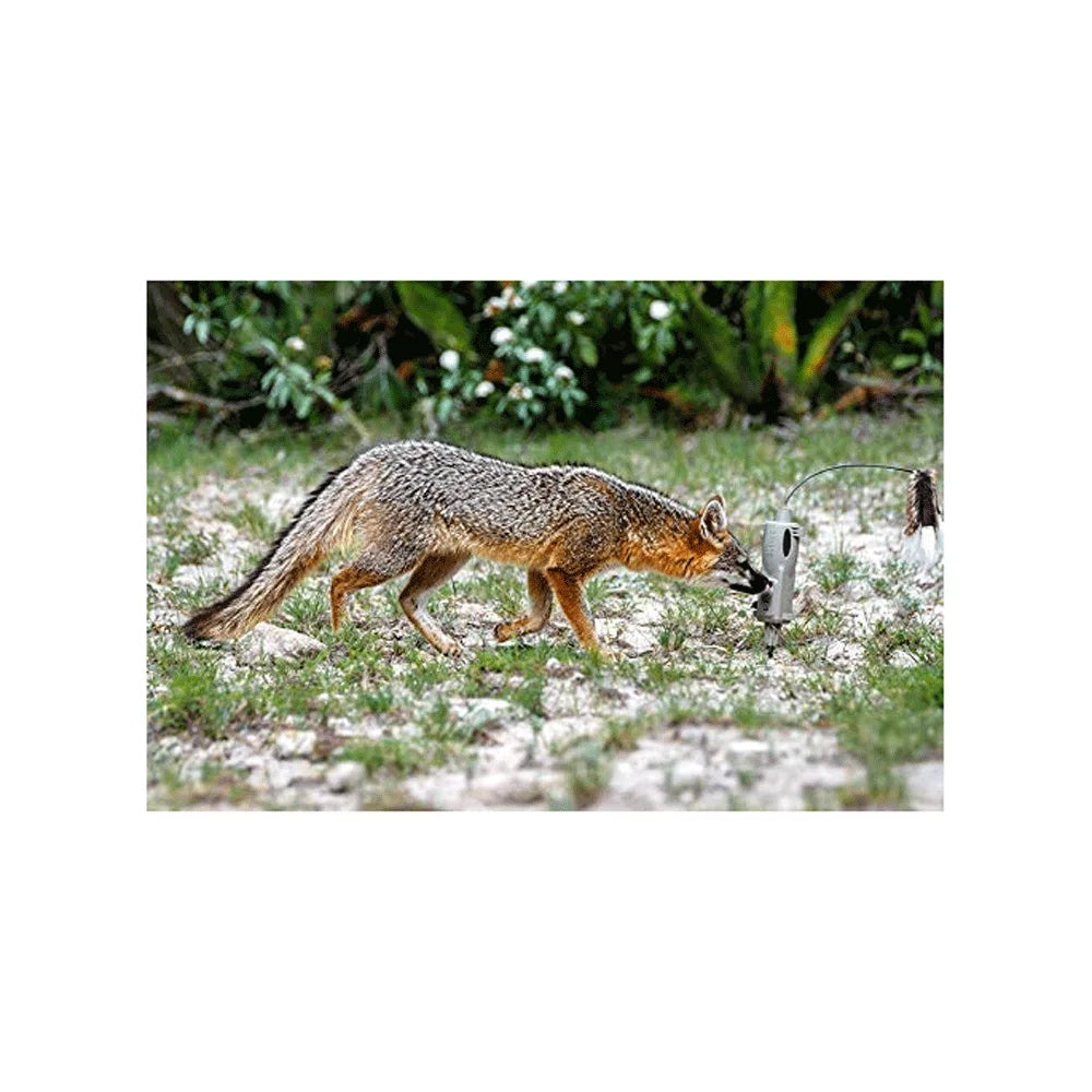 ICOtec Universal Decoy with & ICO30200 Dial, Toppers Predator LED Lights, Speed