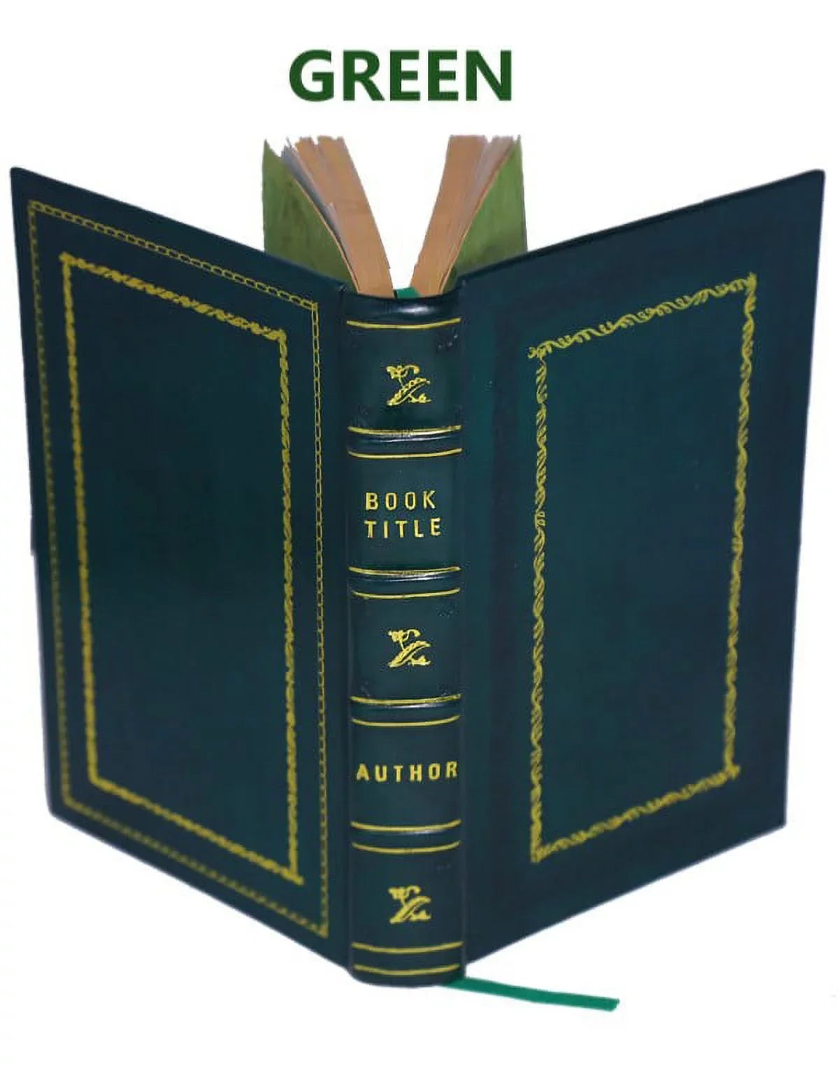 and surgeon soldier scalpel : autobiography 1914 of Bound] sabre [Premium a Leather the With and