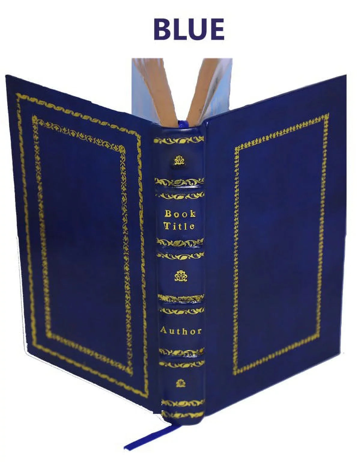 and surgeon soldier scalpel : autobiography 1914 of Bound] sabre [Premium a Leather the With and