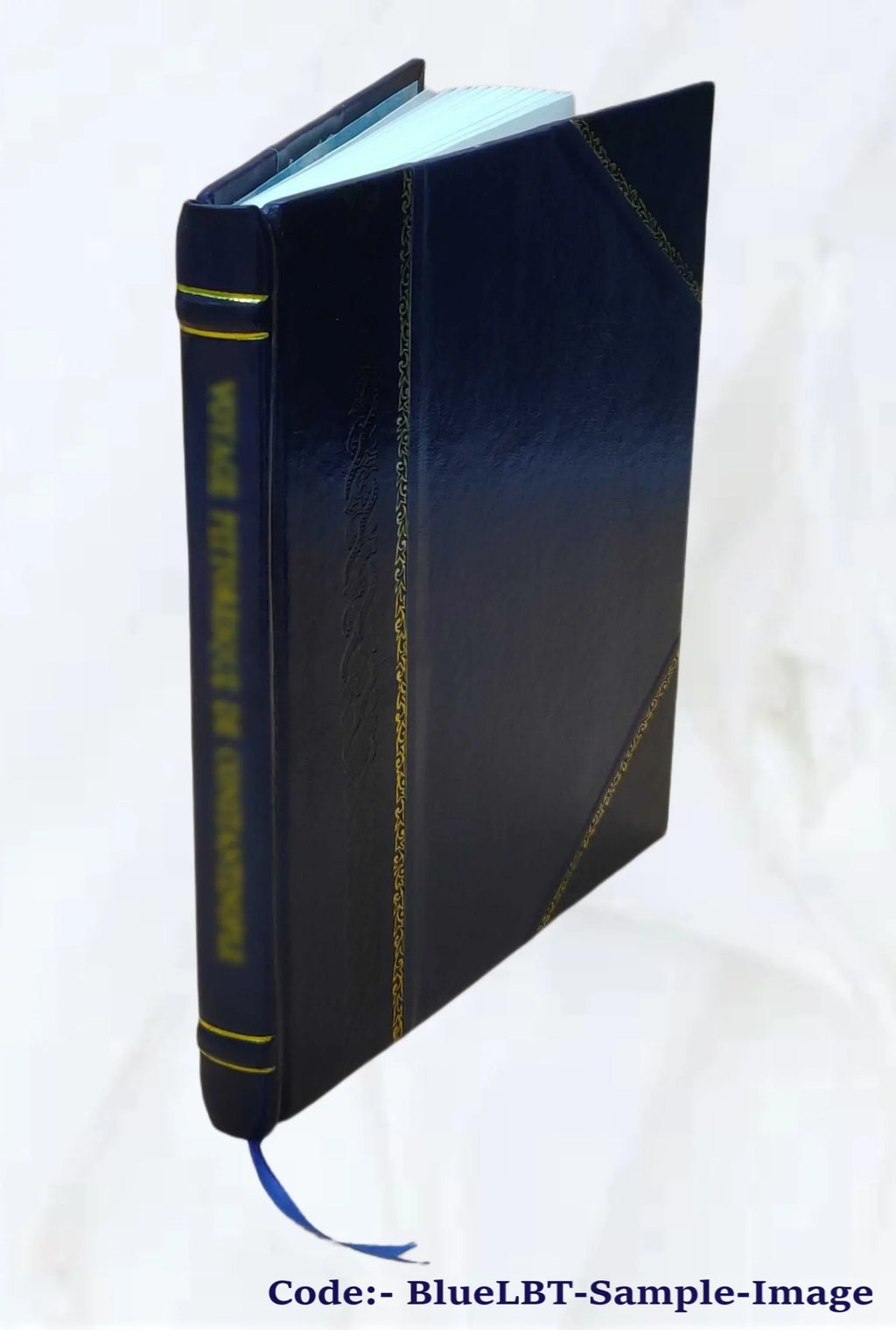 by Charter of City elected XI, section [Leather Article of of 1920, of Prepared pursuance May in proposed the Freeholders, Sacramento. California. of the 15, the Boun constitution 8, of and 1920 Board