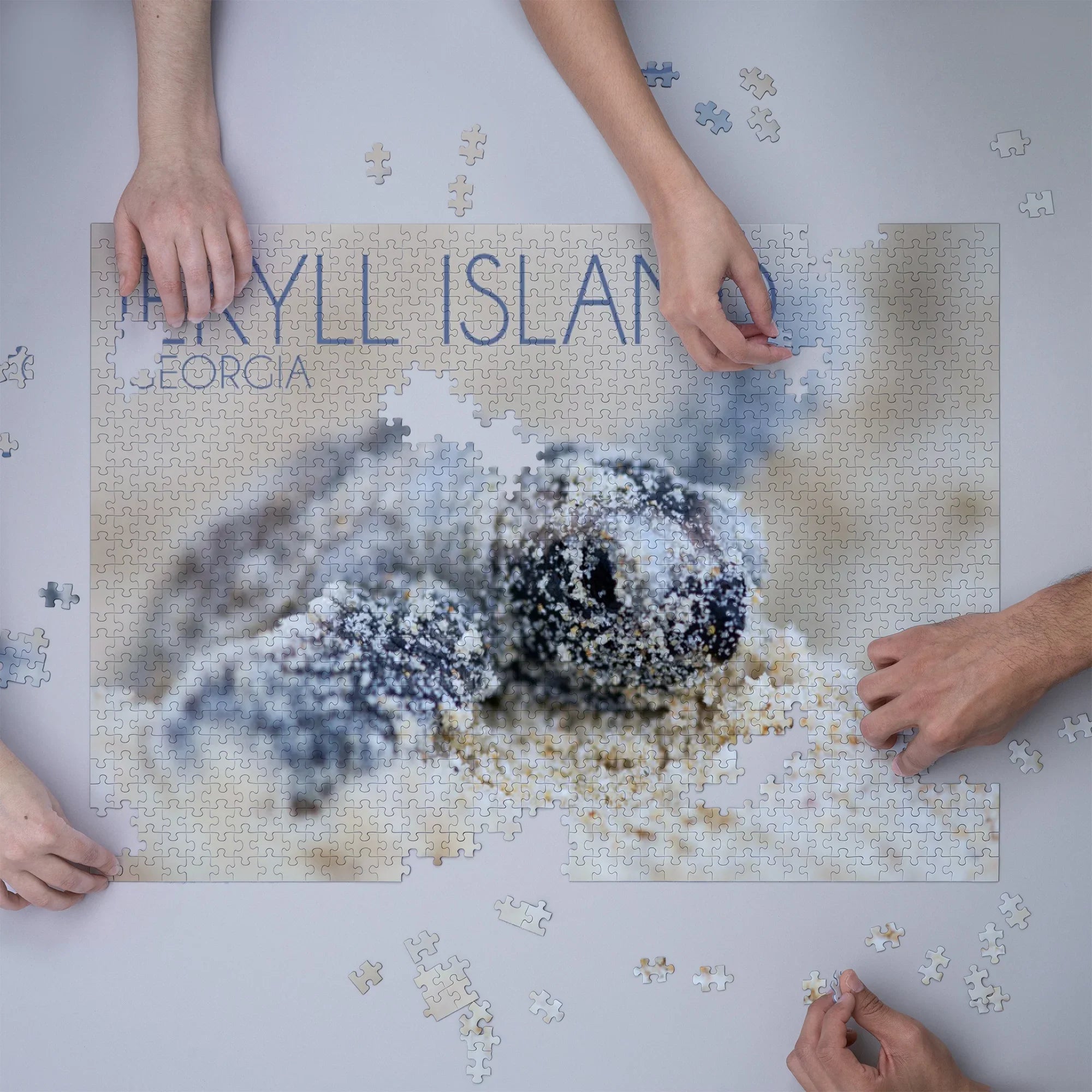 Puzzle USA) Family, Made Challenging 19x27, Island, Hatching Jekyll for Turtle and (1000 Georgia, Hawksbill Adults dimension Puzzle, Jigsaw Piece in